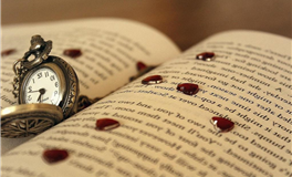 星座女神2025年11月星座运势