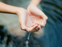 黛比-弗兰克一周星座运势（2.29-3.6）