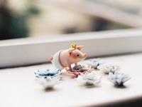 艾薇每周星座运势（10.16-10.22）