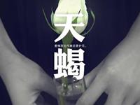 天蝎座如何消遣寂寞