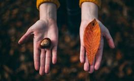 手相怎么看财运线