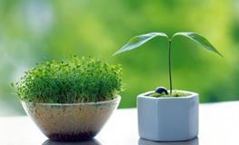 保加利亚嘉珊今日运势2018年7月21日