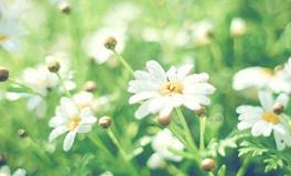 狂月今日运势2018年7月26日