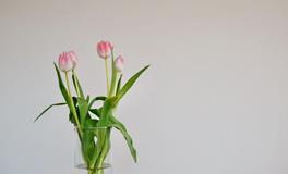 唐绮阳/唐立淇今日运势2019年11月1日