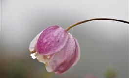 蒂姆2.7-2.13周运