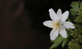 张鑫龙每日生肖运势9月2日