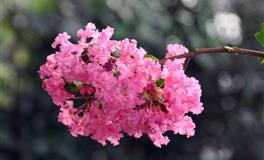 易鑫今日生肖运势2022年4月30日