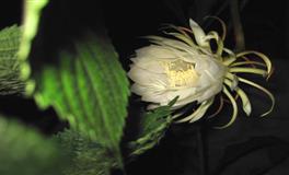 唐绮阳/唐立淇一周星座运势(6.6-6.12）
