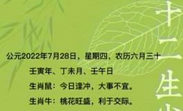 秦阳明每日生肖运势2022年7月28日