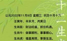 秦阳明每日生肖运势2022年11月9日