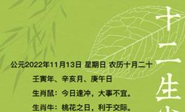 秦阳明每日生肖运势2022年11月13日