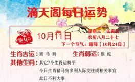 滴天居士2023年10月11日生肖运势