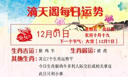 滴天居士2023年12月1日生肖运势