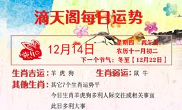 滴天居士2023年12月14日生肖运势