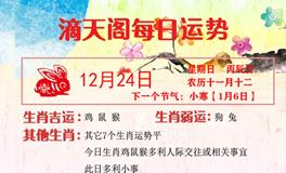 滴天居士2023年12月24日生肖运势