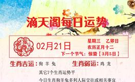 滴天居士2024年2月21日生肖运势