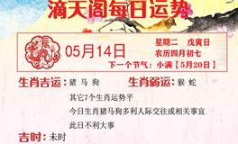 滴天居士2024年5月14日生肖运势