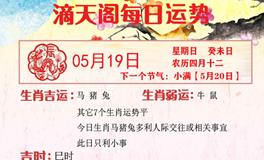 滴天居士2024年5月19日生肖运势