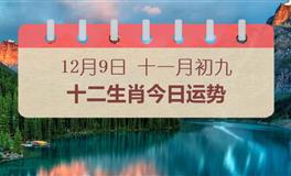 十二生肖今日运势2024年12月9日