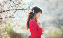 艾菲尔白羊座2025年运势