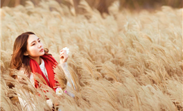 迎接本命年的属马人：传统习俗与个人成长之道