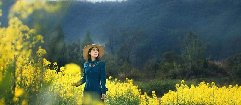 百变巫女十二星座一周运势（11.3-11.9）