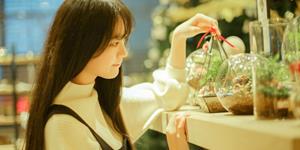 静电鱼2026年十二星座运势