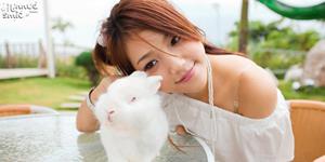 滴天居士每周生肖运势（11.10-11.16）