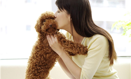 蓝蓝占星双子座一周运势（11.3-11.9）