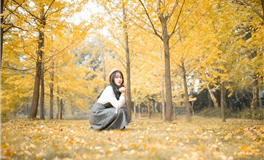 属龙双子座2026年运势