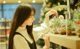 静电鱼2026年十二星座运势