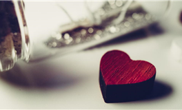 1994年属狗2026年运势及运程详解 94年属狗人2026年马年每月运程