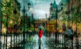 滴天居士生肖猪2025年11月运势