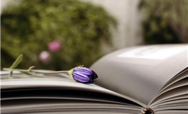 星座女神：天蝎座本周运势（11.10-11.16）