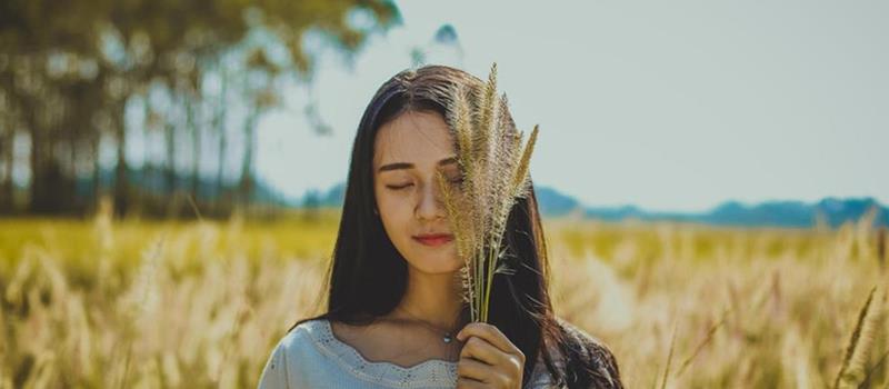 李云天2025年12月星座运势