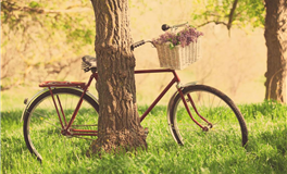 水玲师傅：今日五行能量/五行运势2025年11月21日