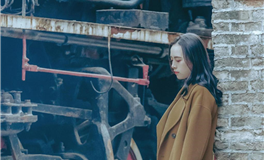 D.H.APP生肖马2026年运势