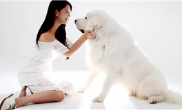 Ezoey徐佩玲天蝎座一周运势（12.22-12.28）