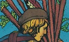 爱莎公主天秤座一周塔罗运势（12.8-12.14）