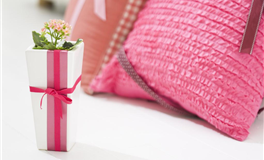 玛法达2026年星座运势大预言：金牛座