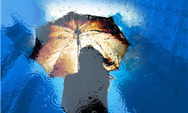 水玲师傅：属龙人2026年1月运势