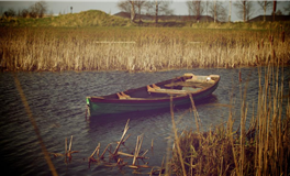 判答12星座本周运势（12.22-12.28）这些星座满血冲刺、锁定胜局！