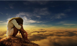 沉溺温柔的怀抱，想被保护的生肖