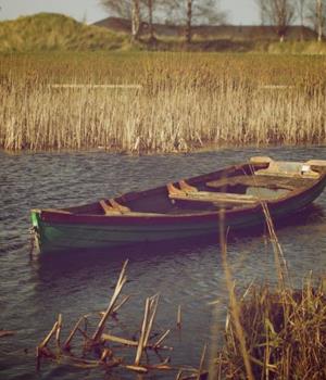 判答12星座本周运势（12.22-12.28）这些星座满血冲刺、锁定胜局！