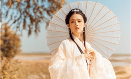 柒爸天秤座2026年1月运势