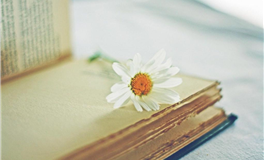 蓝蓝占星水瓶座一周运势（12.1-12.7）