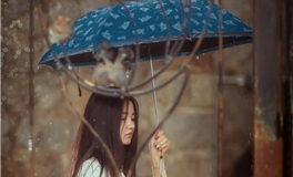 Pandora占星小巫金牛座2026年2月运势