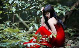 蓝蓝占星处女座2026年1月运势