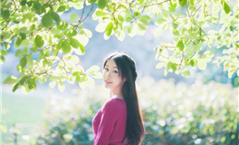 水玲师傅：属兔人2026年2月运势