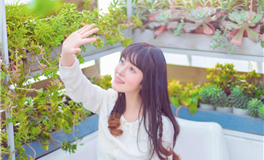 董易姗每日生肖运势2026年1月12日